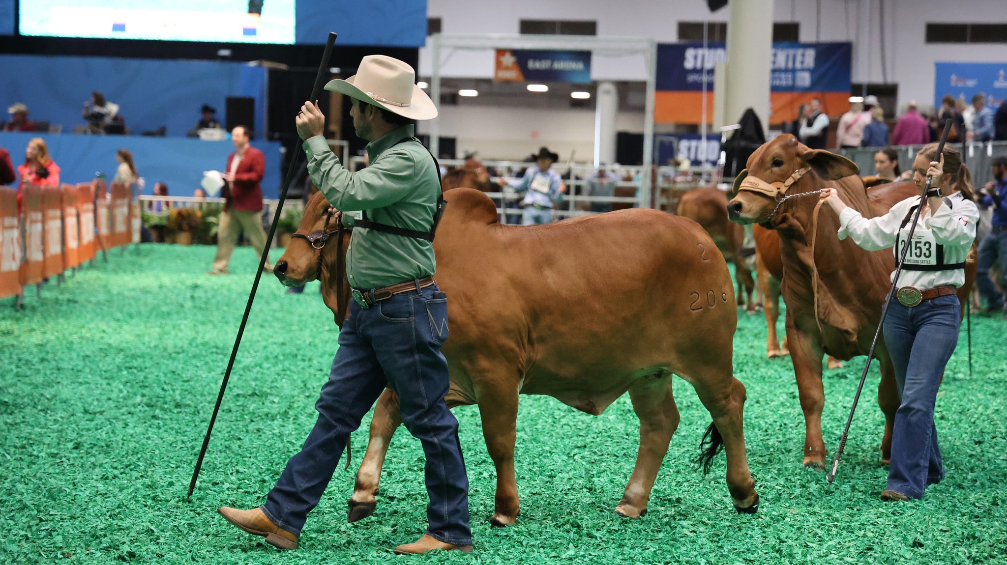 🤠 THE WOODLANDS RODEO EXPRESS-... - The Woodlands Township | Facebook