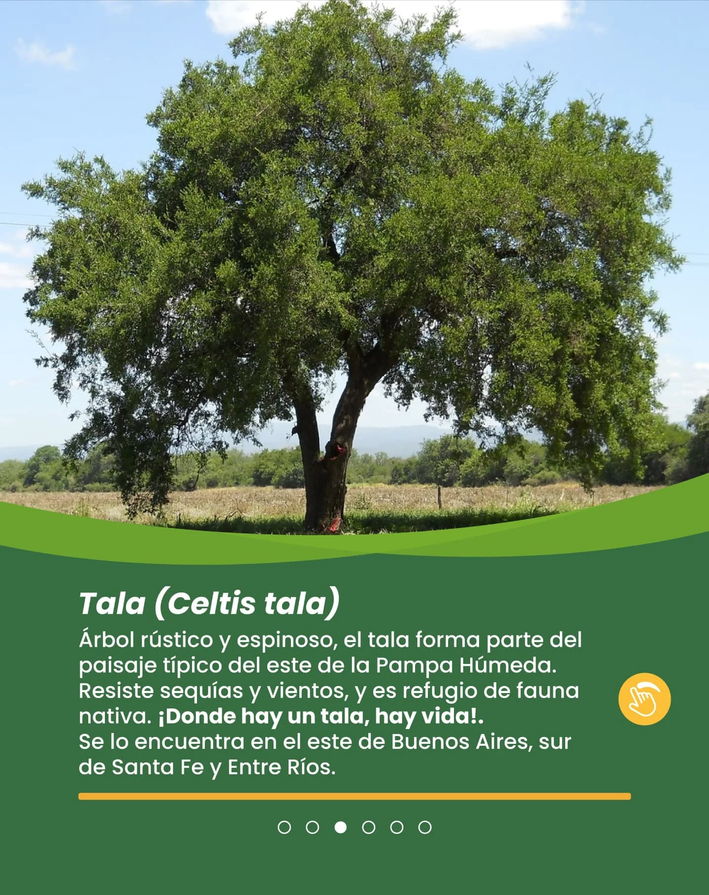 Aire Federal