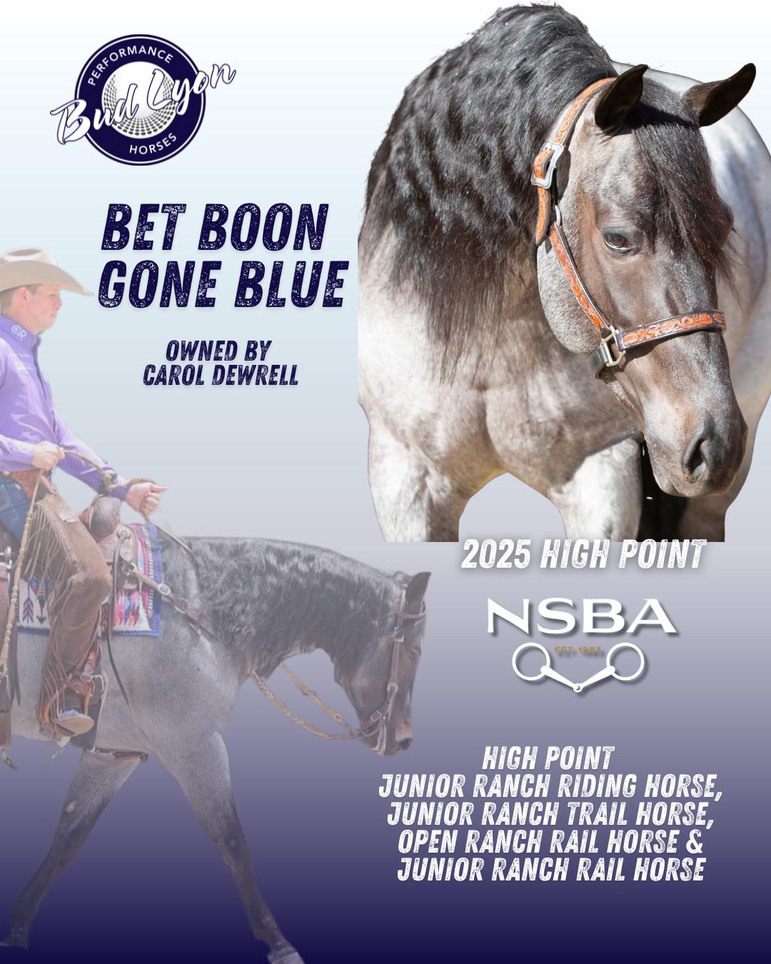 Bet Hesa Boon - Homozygous Roan Stallion