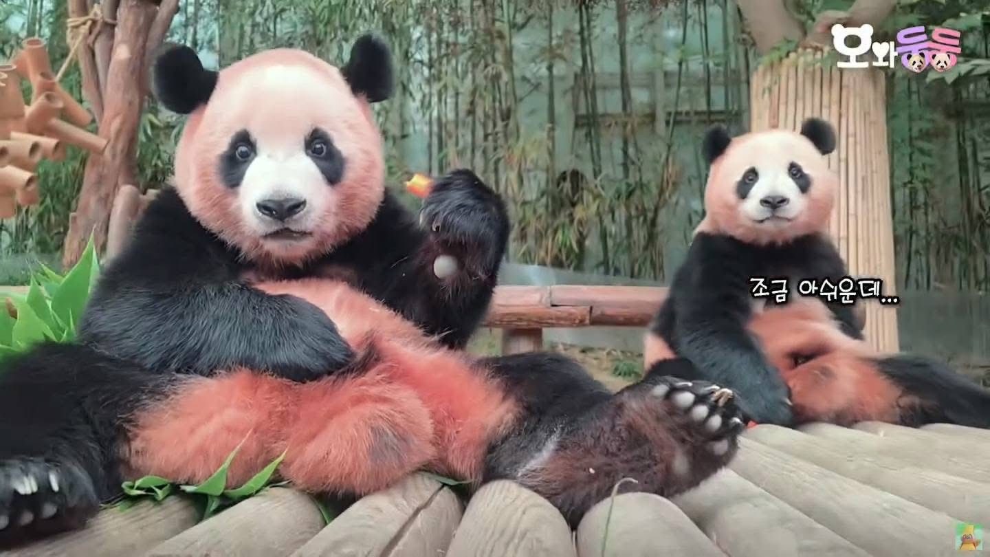 Rui Hui đáng yêu added a new photo. - Rui Hui đáng yêu
