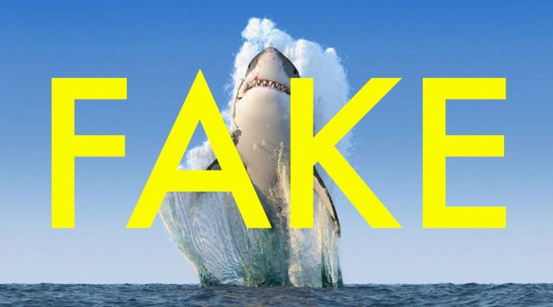Fake Conservation Pages