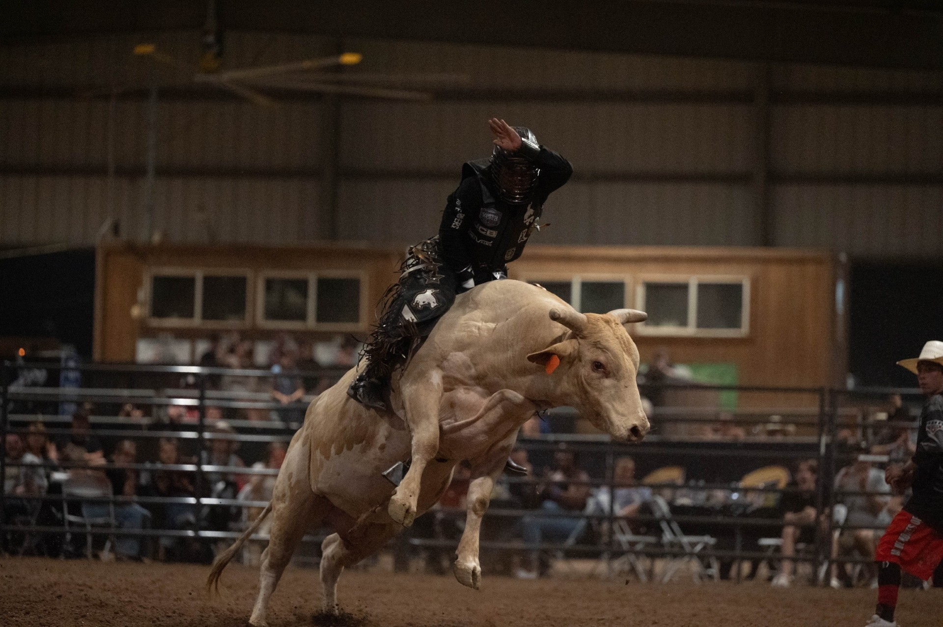 Buckeye - 🔥 More than 30 Bull Riders All in One Night! Buckeye, Are You ...