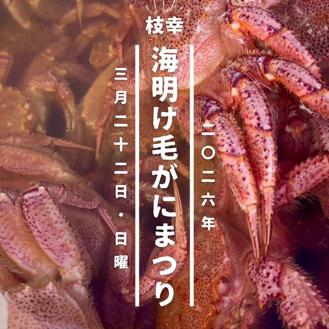 開催決定】🦀第3回 枝幸海明け毛がにまつり🦀 🦀開催日時：2026年3月22