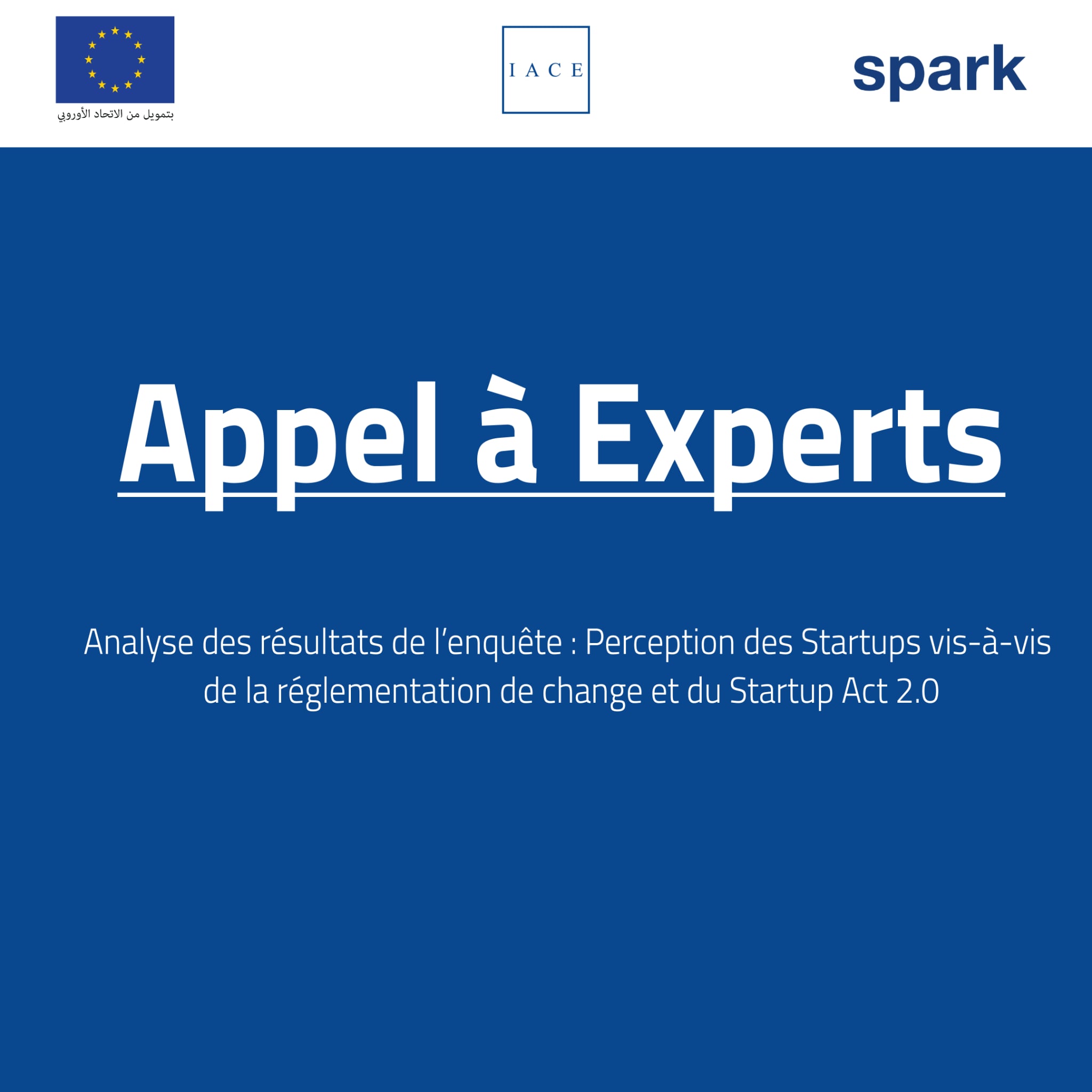 IACE - 🌍 Appel à Experts / Consultants L’IACE, en... | Facebook