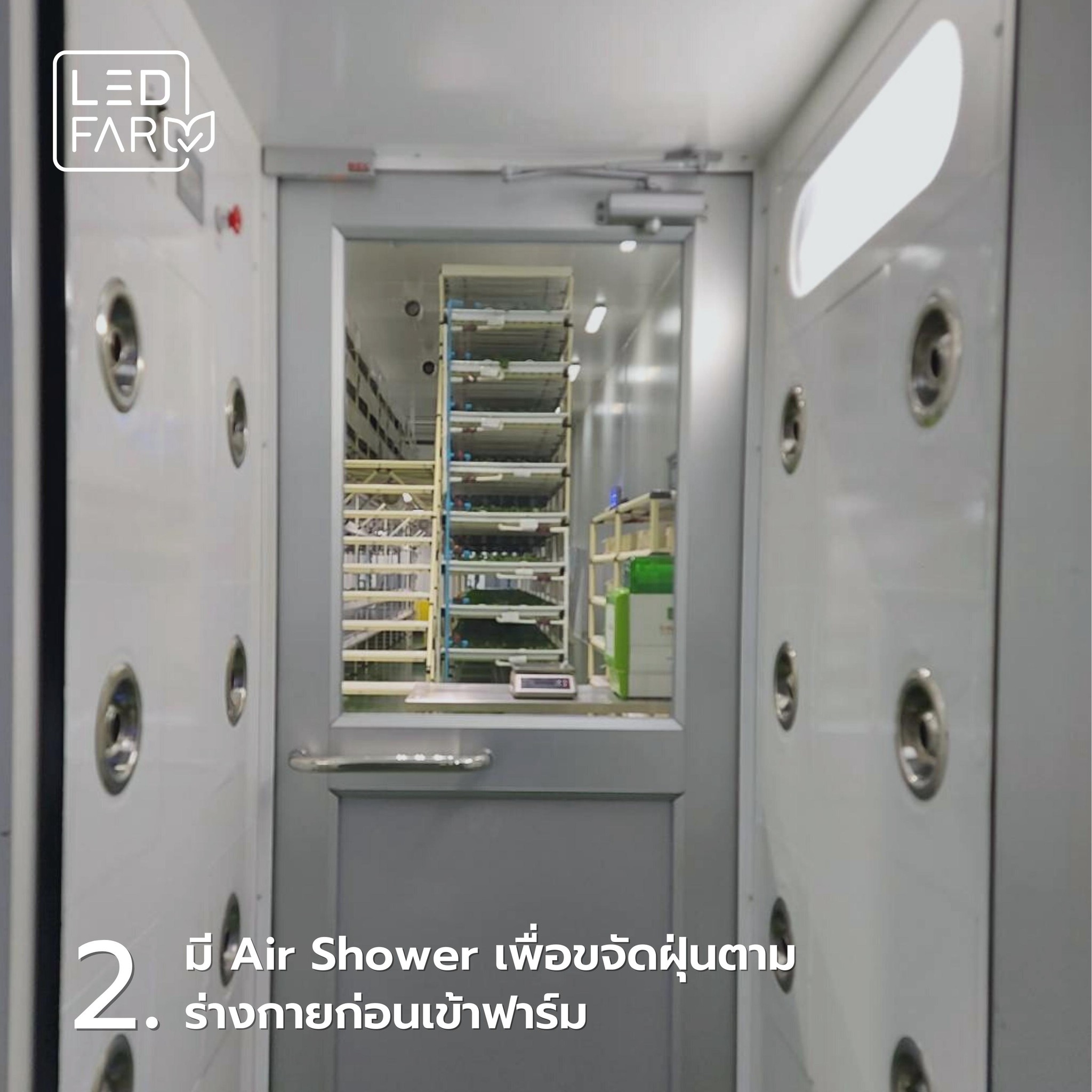 ทำไมต้องเลือกผักสดจาก LED Farm ?🧐 แอลอีดี ฟาร์มปลูกผักในระบบปิดด้วยแสง ...