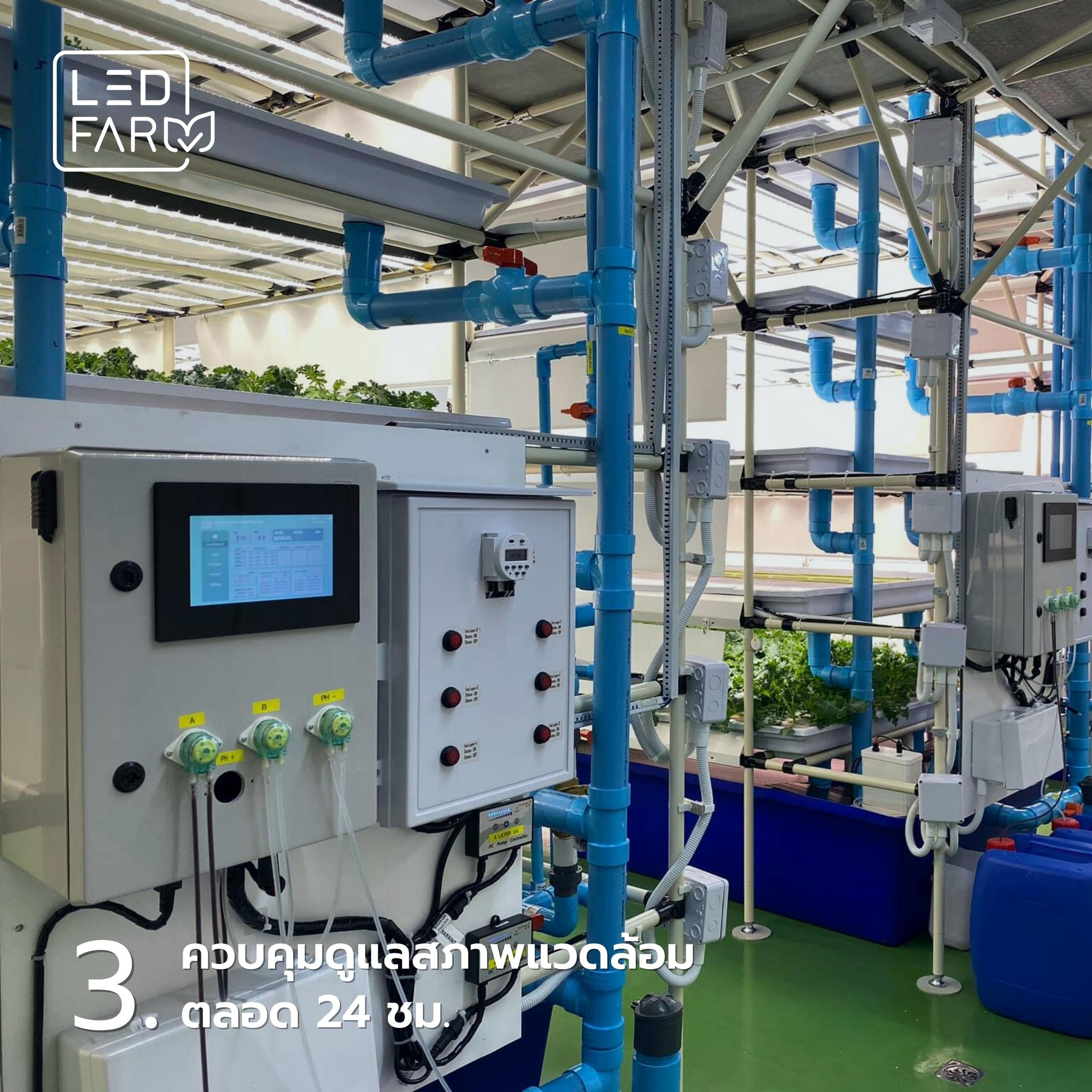 ทำไมต้องเลือกผักสดจาก LED Farm ?🧐 แอลอีดี ฟาร์มปลูกผักในระบบปิดด้วยแสง ...