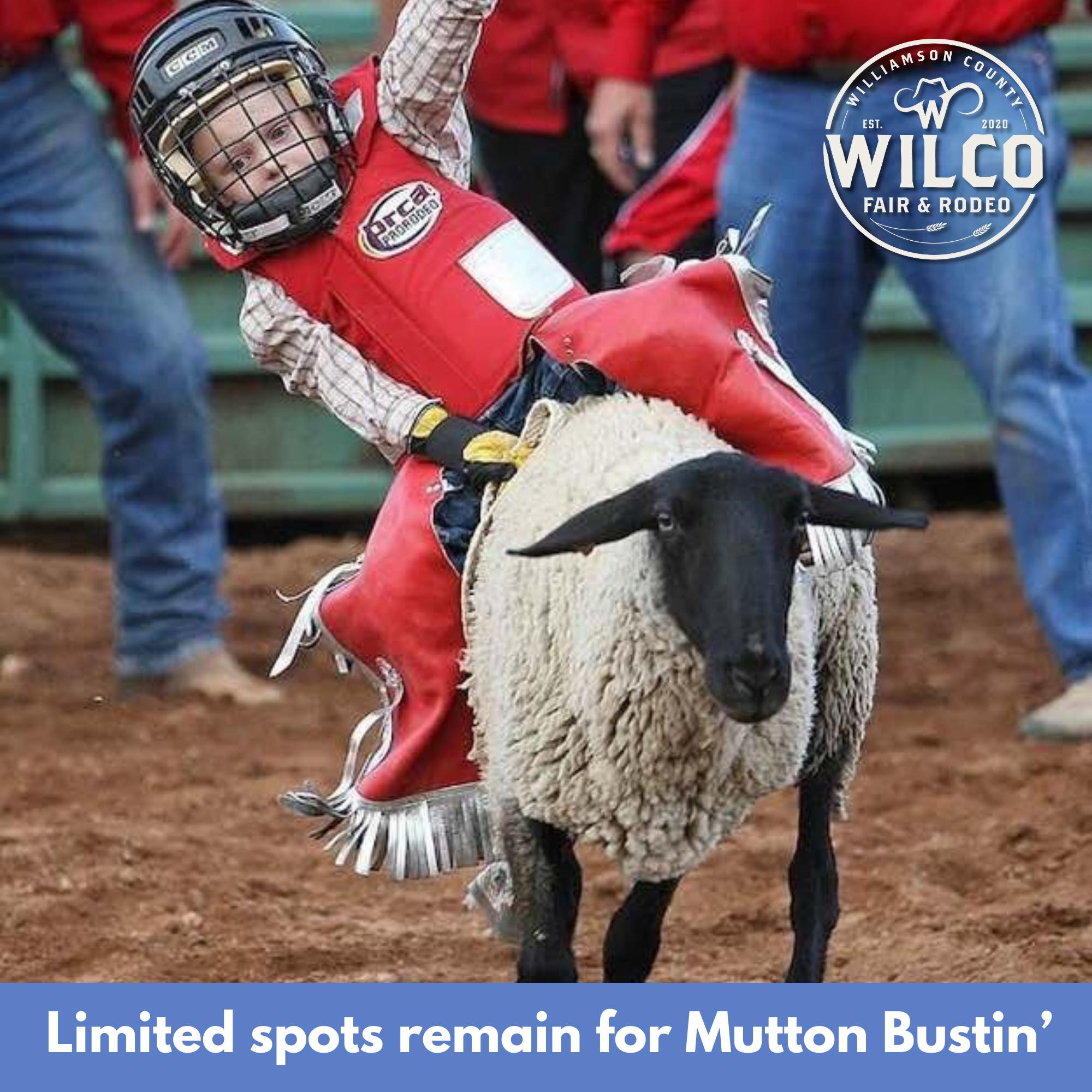 Williamson County Fair and Rodeo | Taylor TX