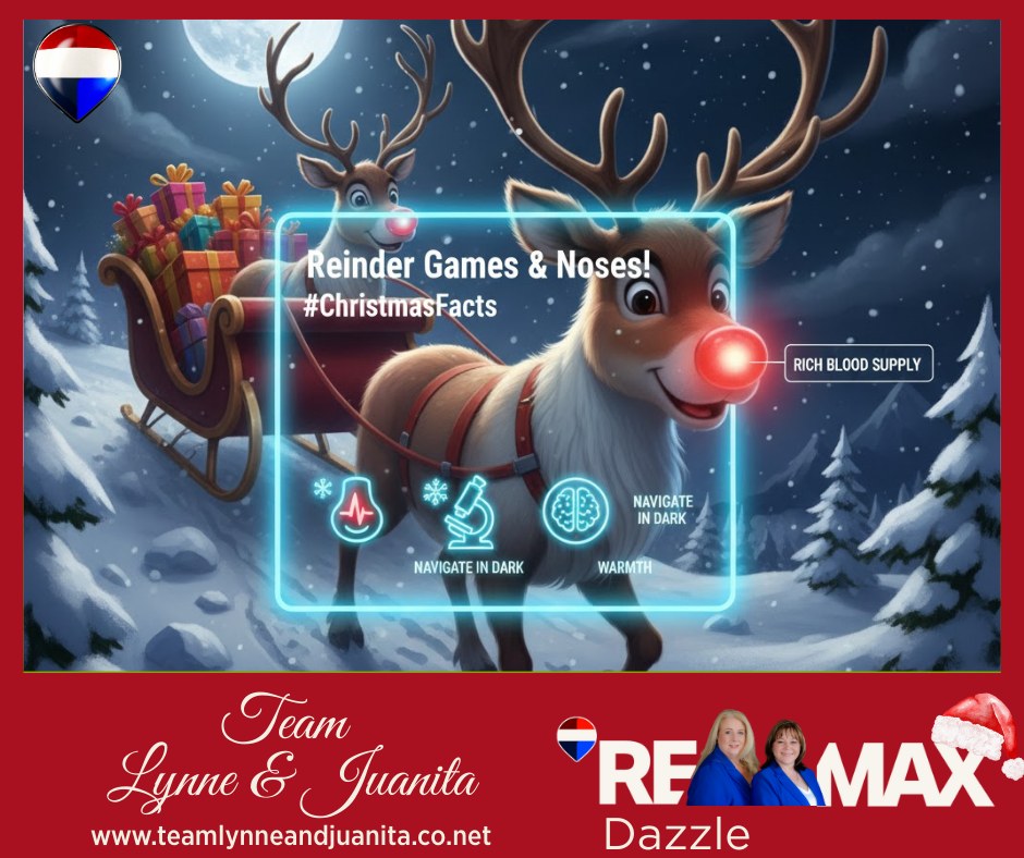 Team - Fun Fact! Reindeer Games & Noses! 🦌🔴 Rudolph Revealed! While we ...