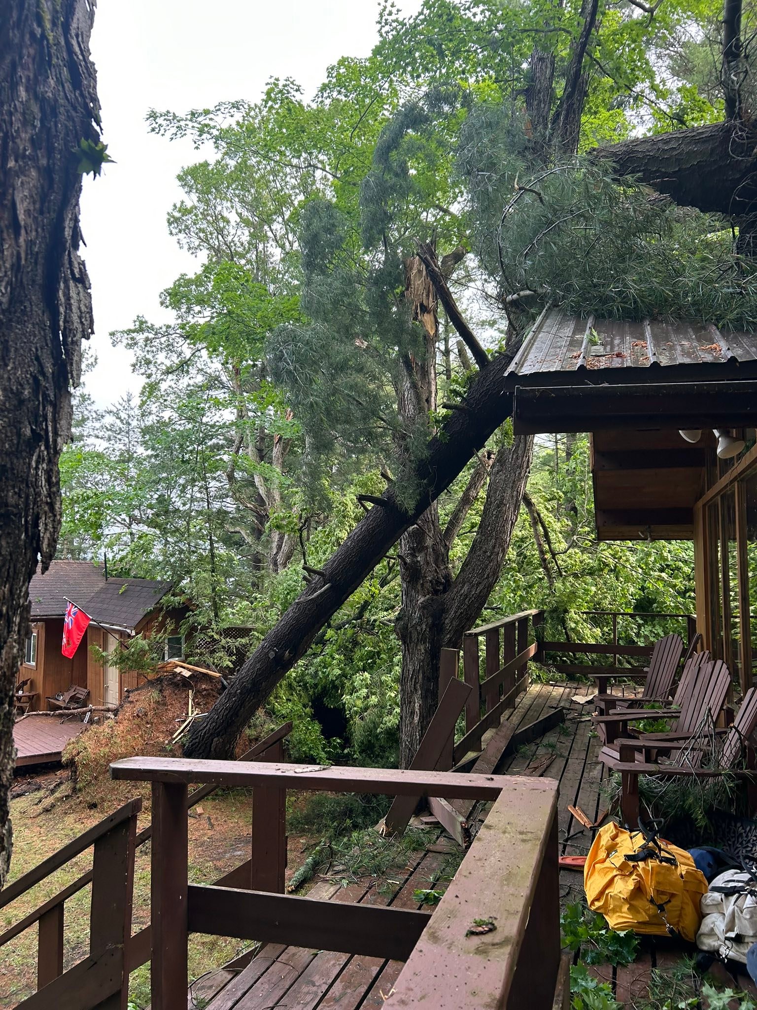 Madden & Company Tree Service | Westport ON