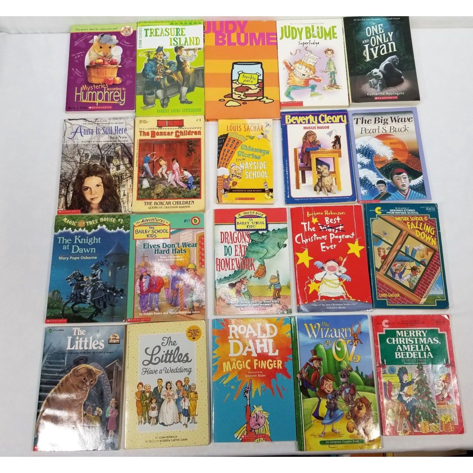 3rd Grade Chapter Books Lot of 20 Classics Homeschool Teacher Classroom