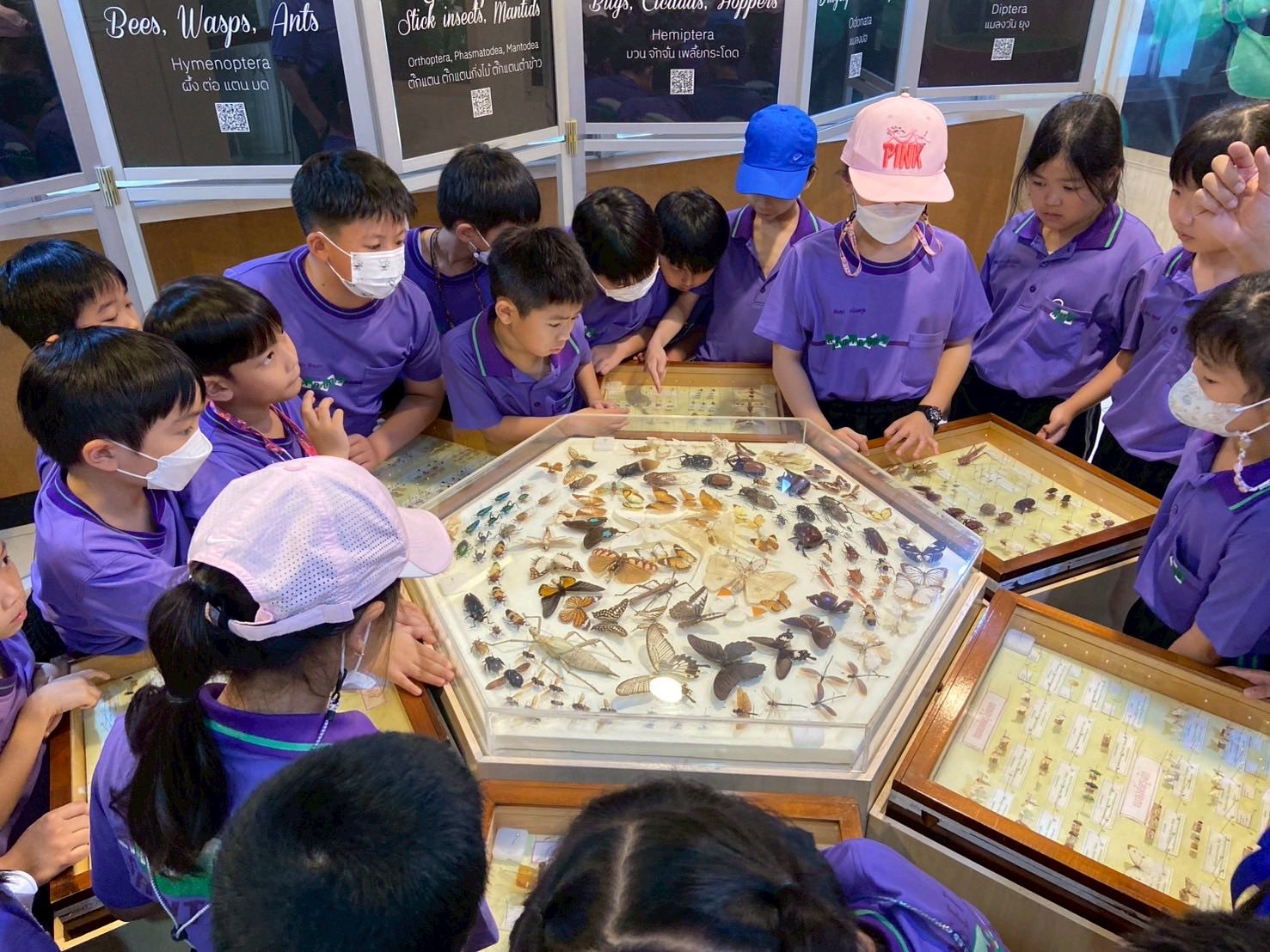 Satit Kaset IP - 🦋🪲 On July 7th, our students enjoyed a... | Facebook