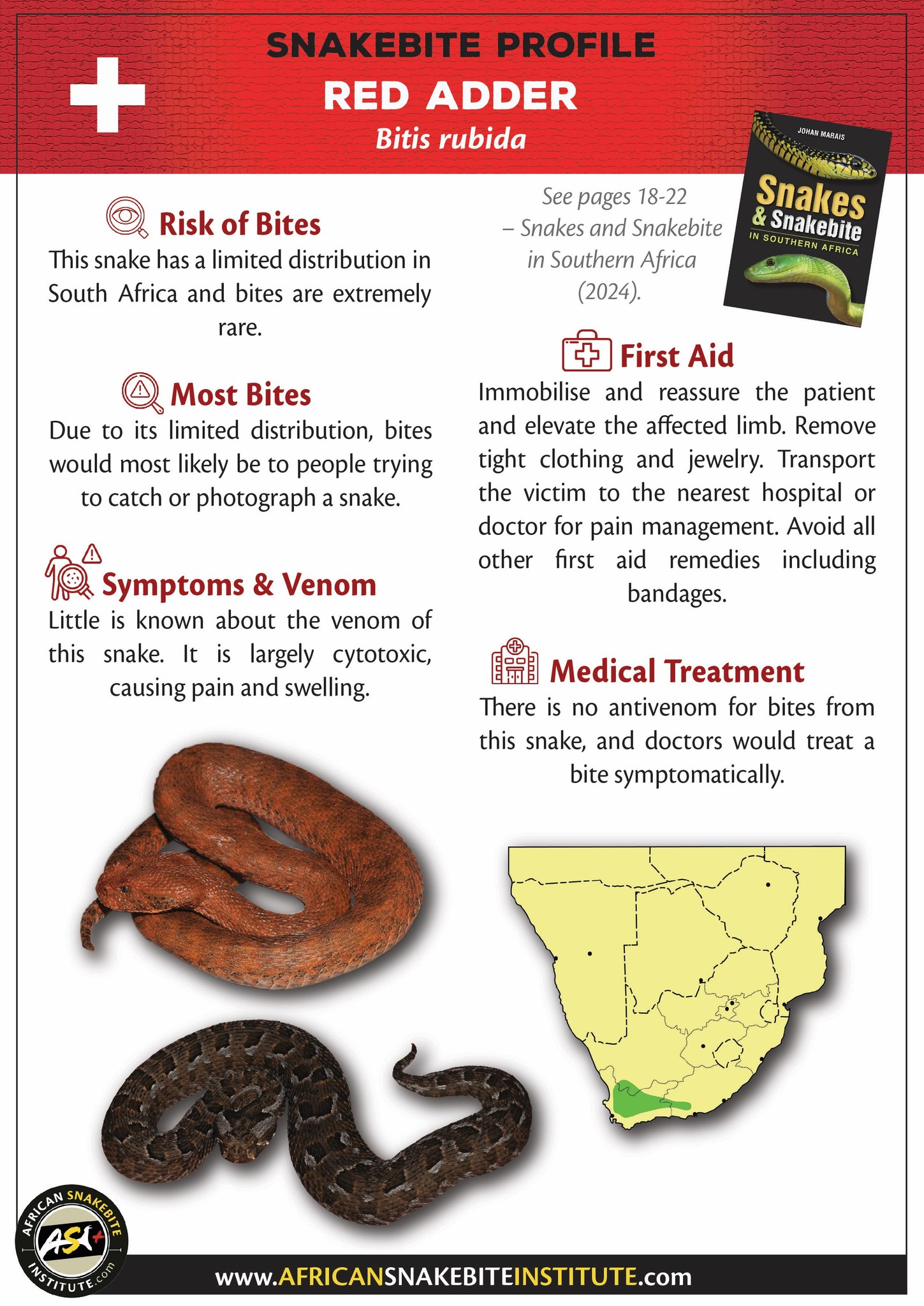 Snakes of Southern Africa | Snakebite Profile - Red Adder - Please feel ...