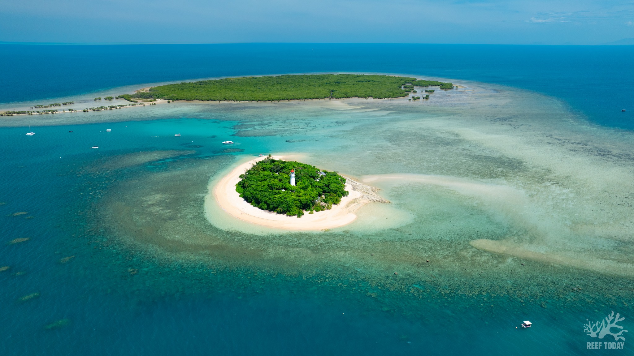 Abc - Low Isles sits just off the coast of Port Douglas and is rich in ...