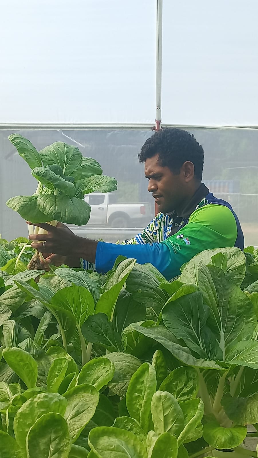 Pacific Grow - Join the Pacific-Grow Farm Team – Cuvu,... | Facebook