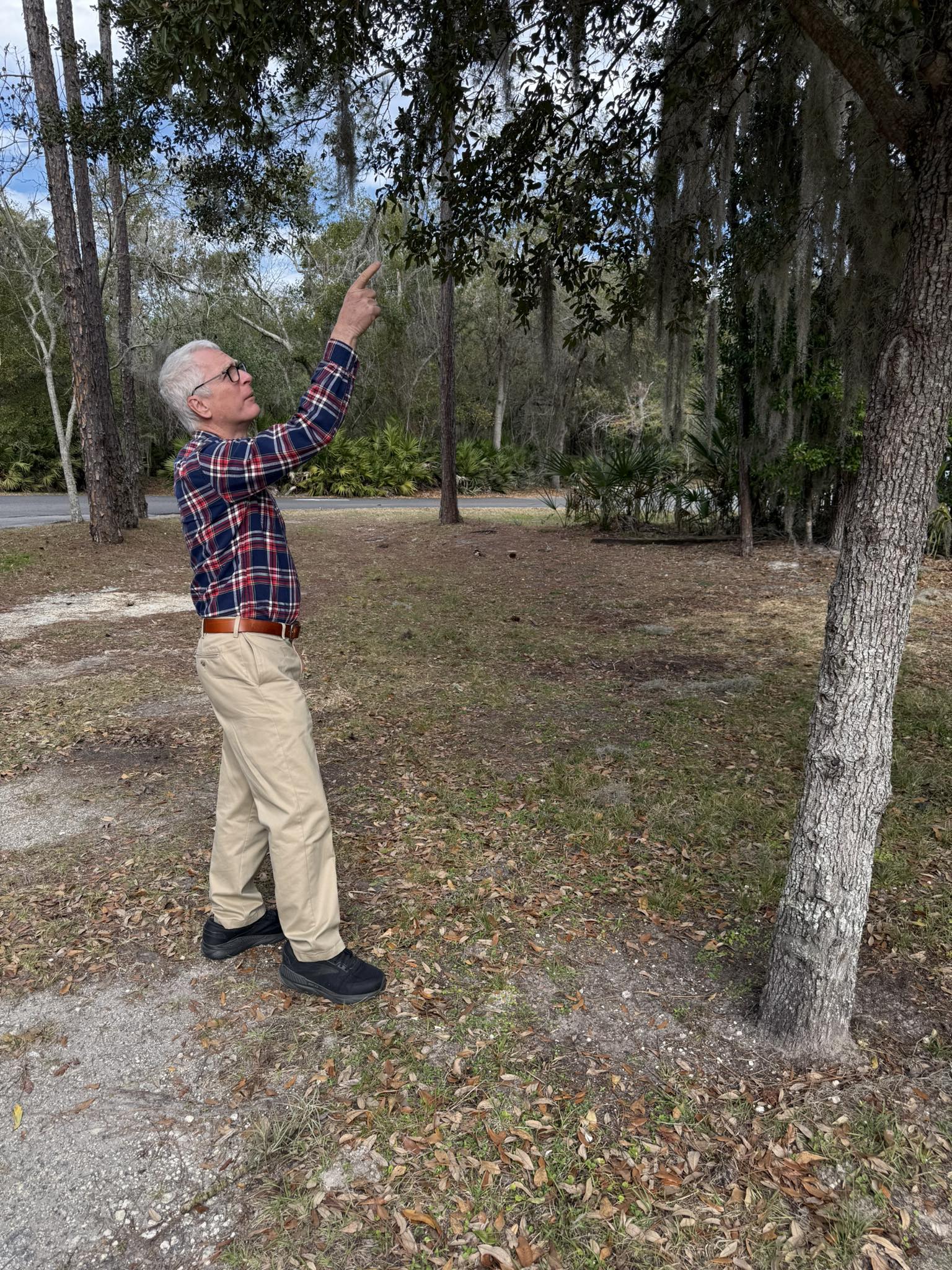 Florida... - Florida Chapter ISA Tree Climbing Competition