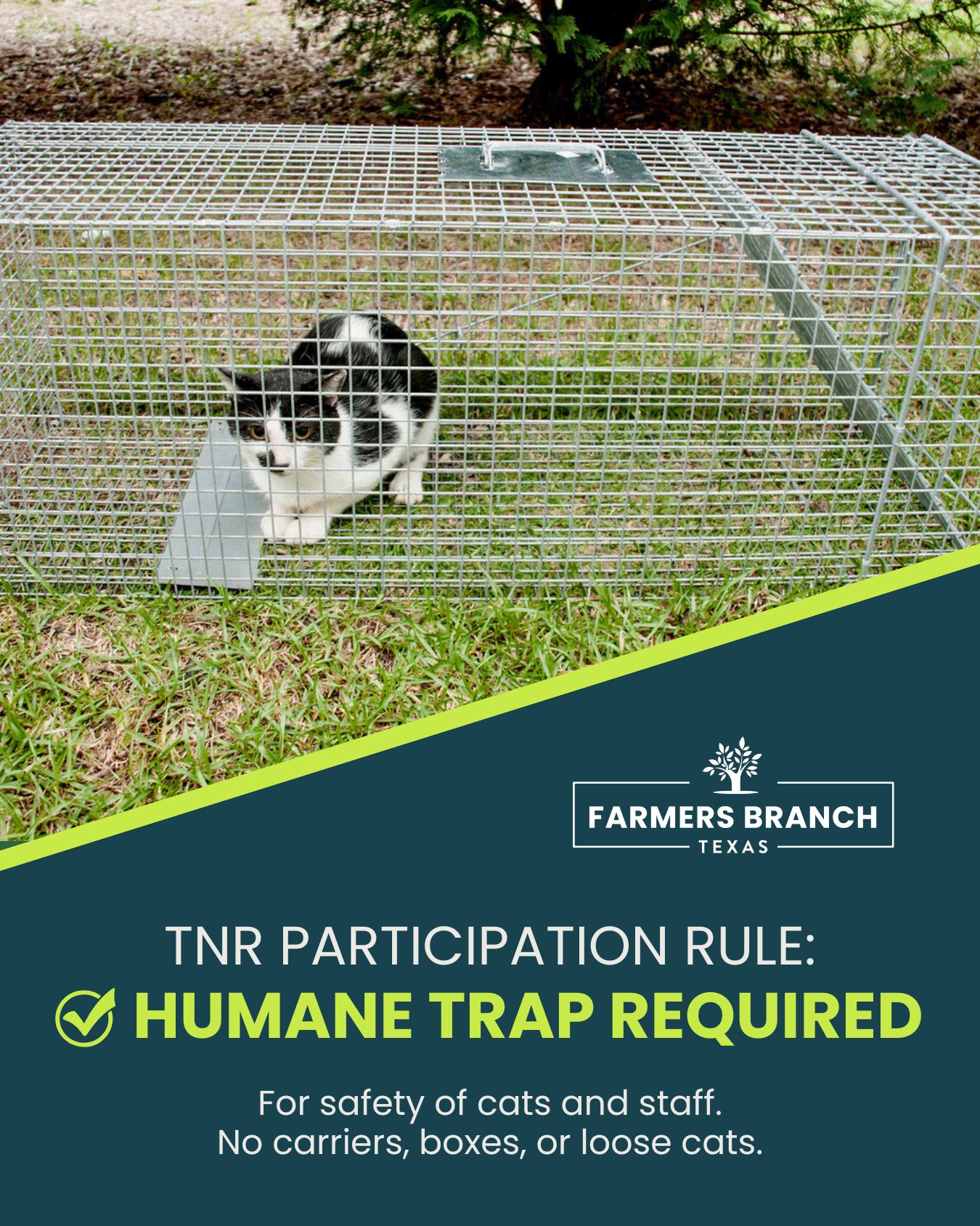 Farmers - Participating in our TNR program? First, thank you for ...