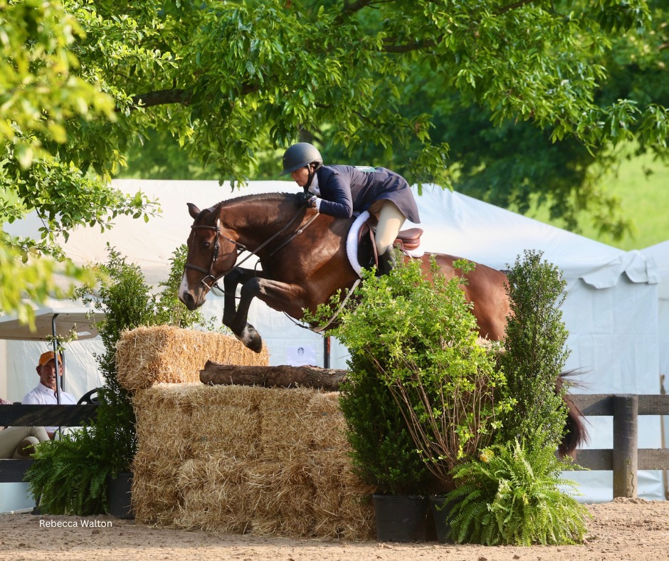 🏆 Huge congratulations to... - Upperville Colt & Horse Show | Facebook