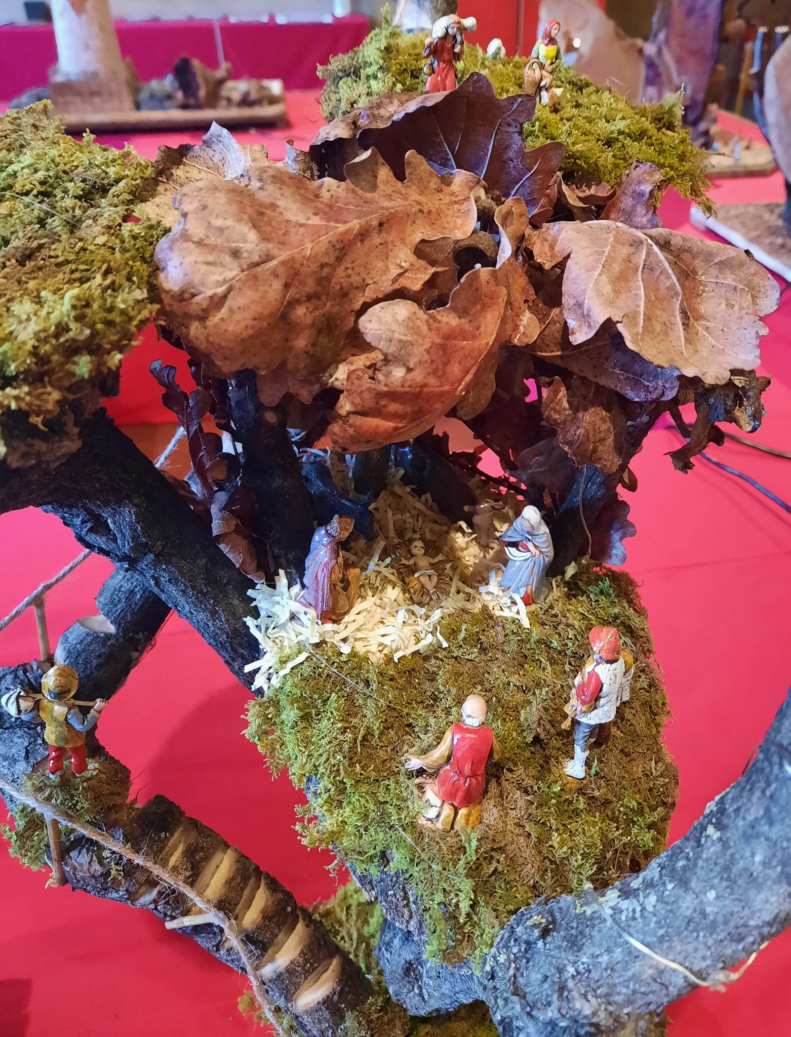 Museo... - Museo dell'Agricoltura e del Mondo Rurale