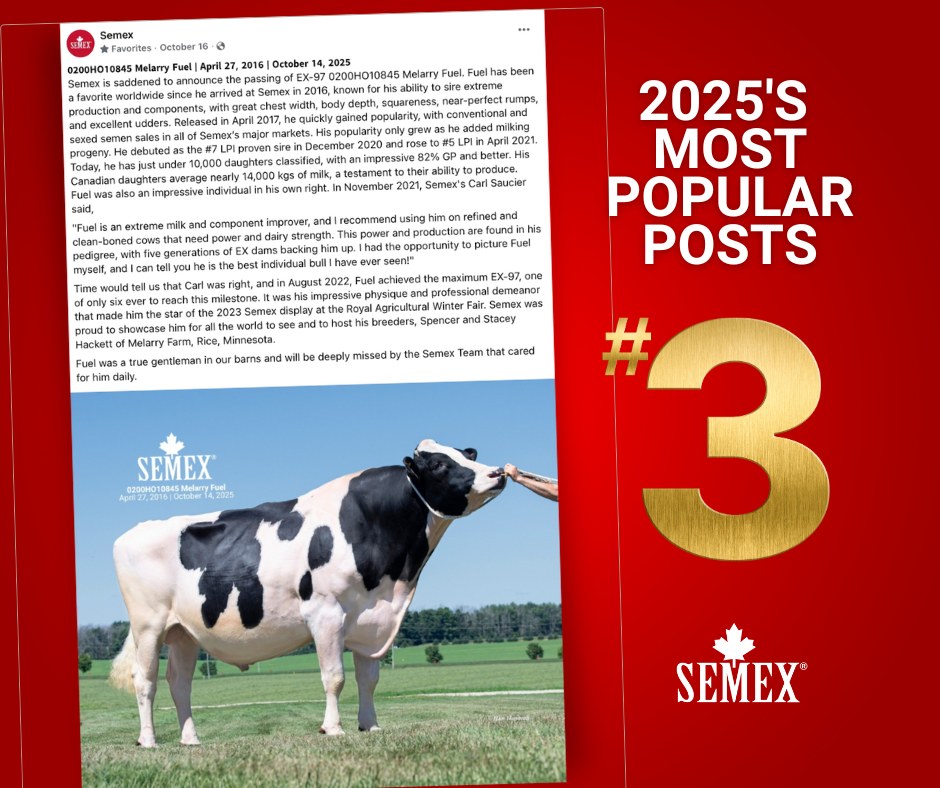 Semex - 𝗪𝗘'𝗥𝗘 𝗖𝗢𝗨𝗡𝗧𝗜𝗡𝗚 𝗗𝗢𝗪𝗡 𝗧𝗢 𝟮𝟬𝟮𝟲! It's day number three of looking ...