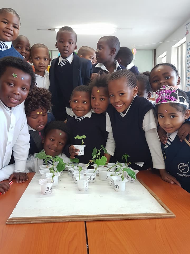 EduPlanet - Grade R Class learning about plants and...
