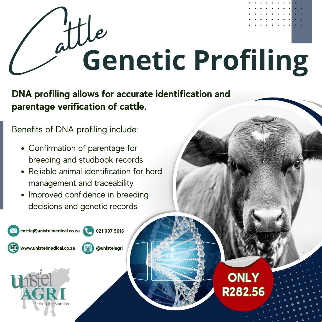 Curated visual reference: Fresh Look at Accurate Dna Profiling Plays A Key Veeplaas Tydskrif