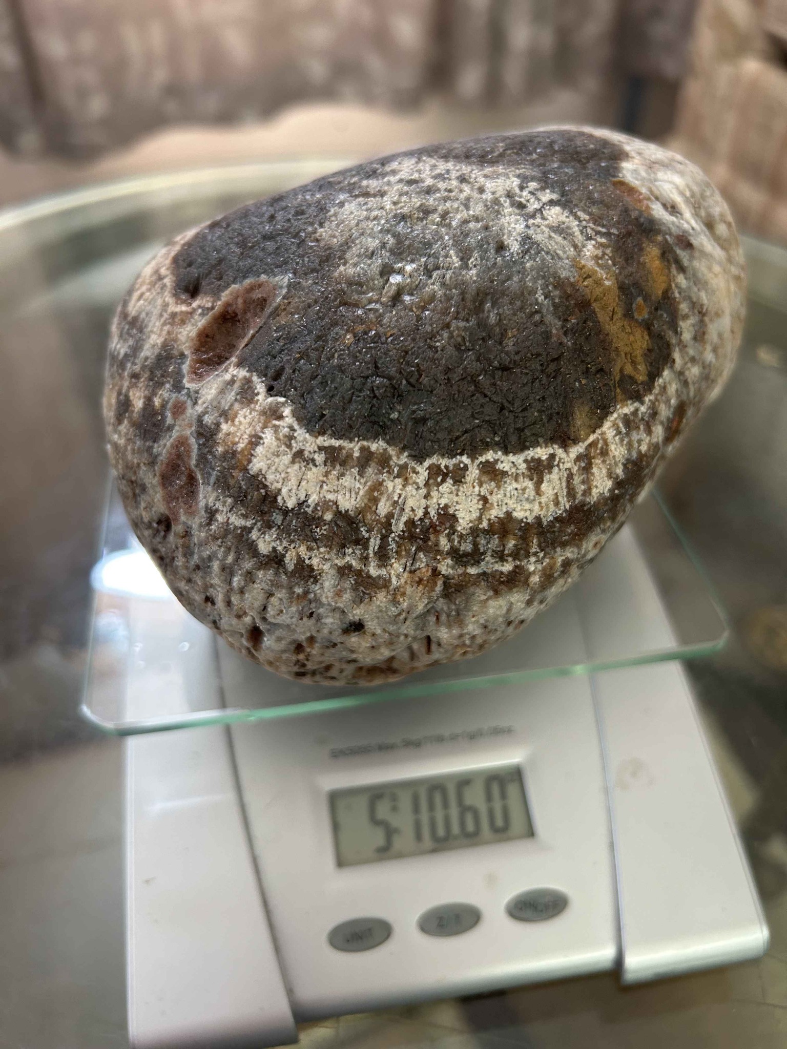 Lake Superior Agate, Saginite. - Rocks, Fossils & Minerals - Proctor ...