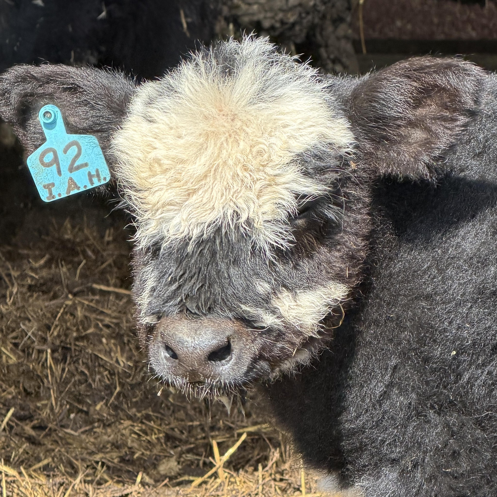 RVC Farms | Cedarville OH