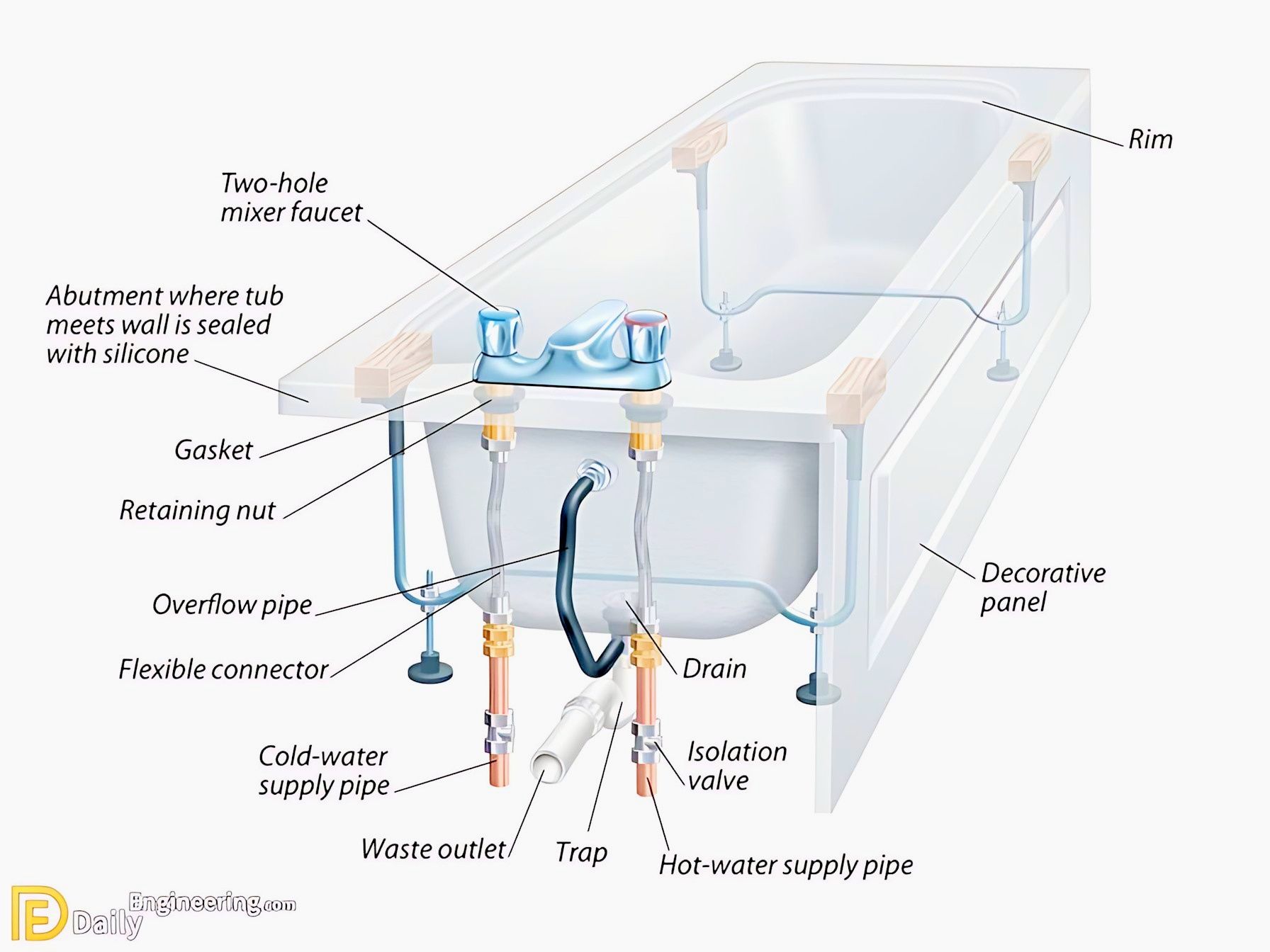 Plumbing Life | This image is a detailed anatomical diagram of a ...