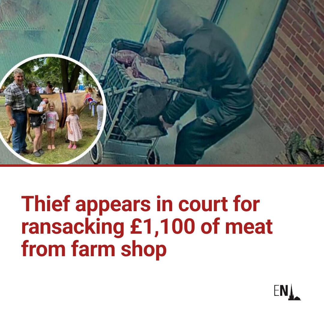 Norwich - He has been caught! 🚨 | Facebook