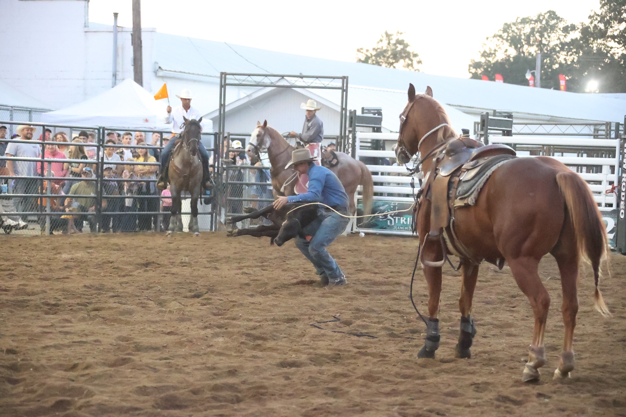2025 Ashland County Fair... - Ashland County Pictures | Facebook