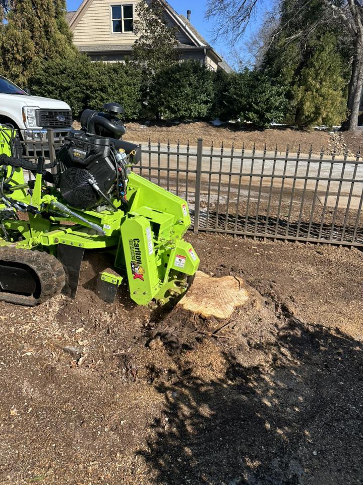 Grind-Time Stump Removal | Greer SC