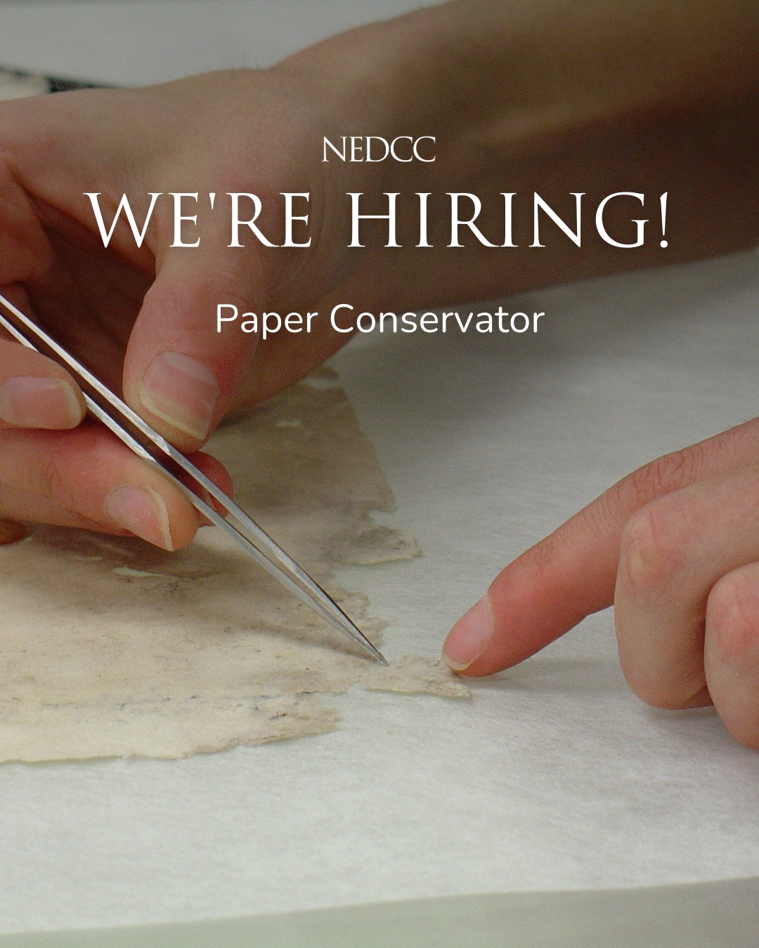 Join our team!... - Northeast Document Conservation Center | Facebook