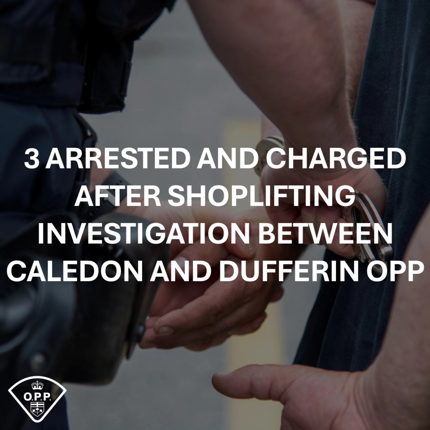 Ontario - Members #CaledonOPP have laid numerous charges after a theft ...