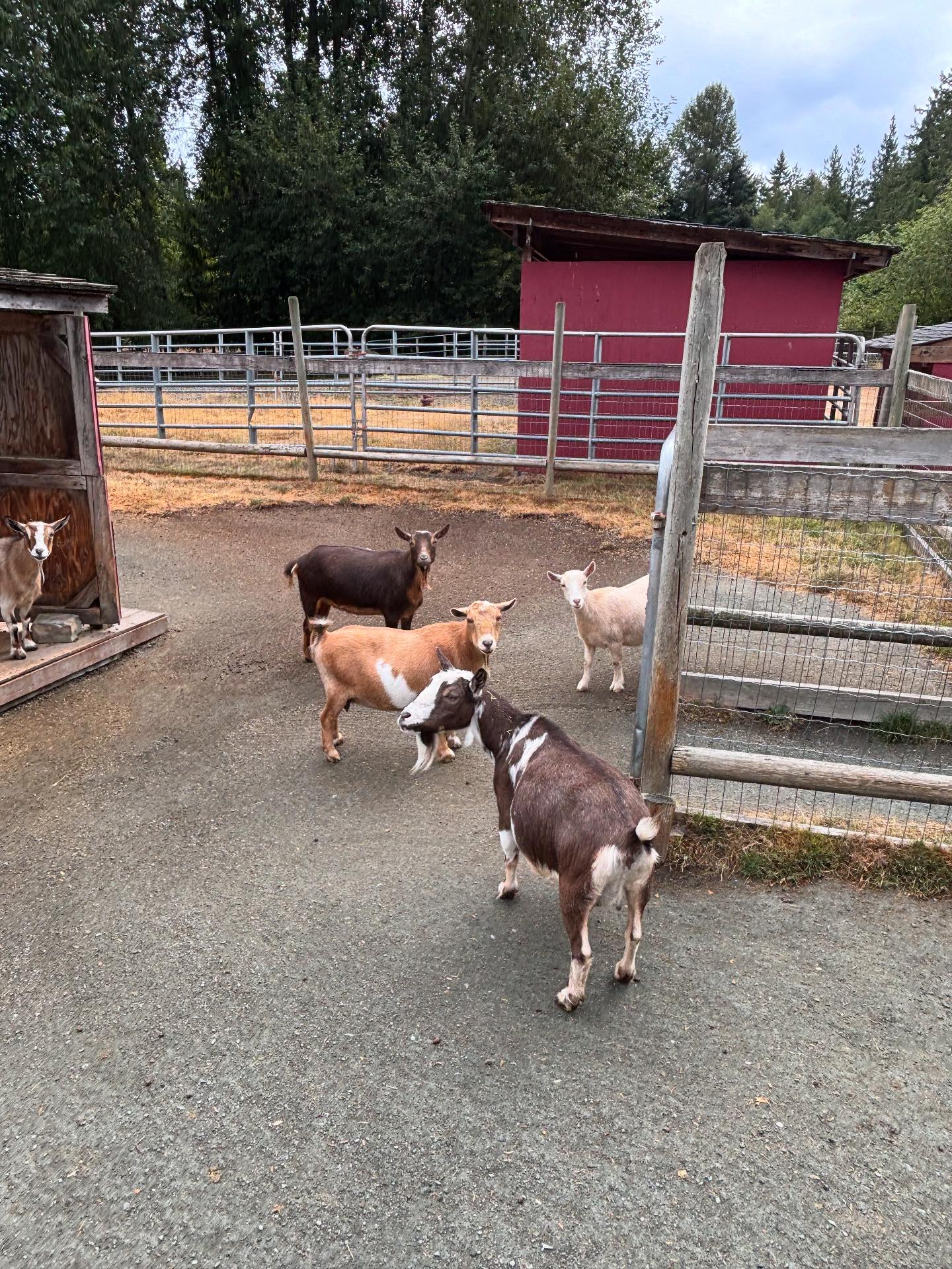 Hamilton Hobby Farm
