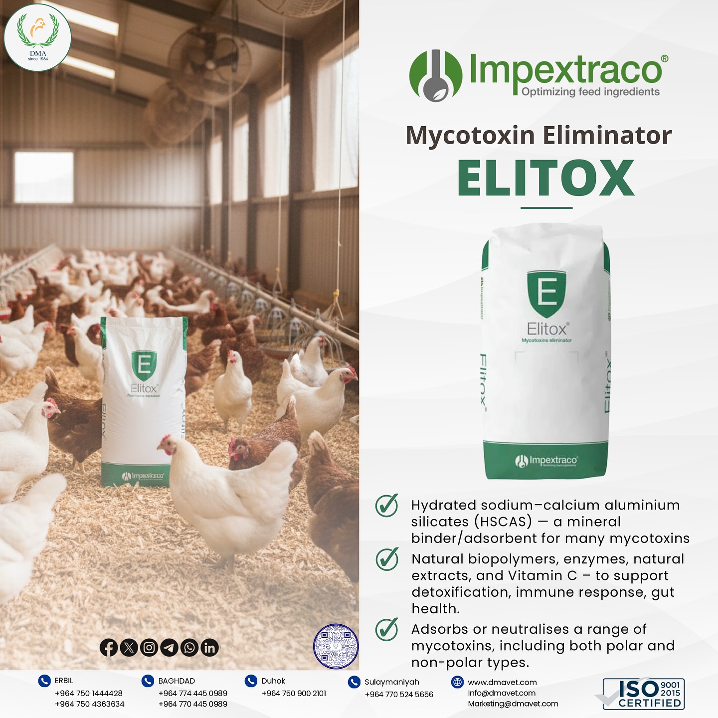 DMA Group - Elitox Composition: 1. Specifically... | Facebook