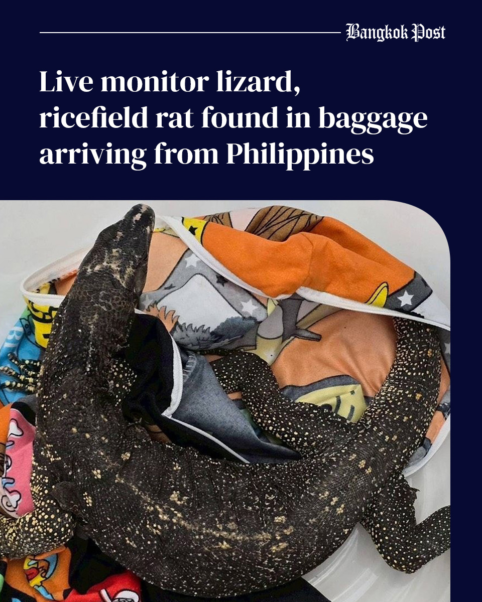Bangkok - A Thai passenger arriving from the Philippines was ...