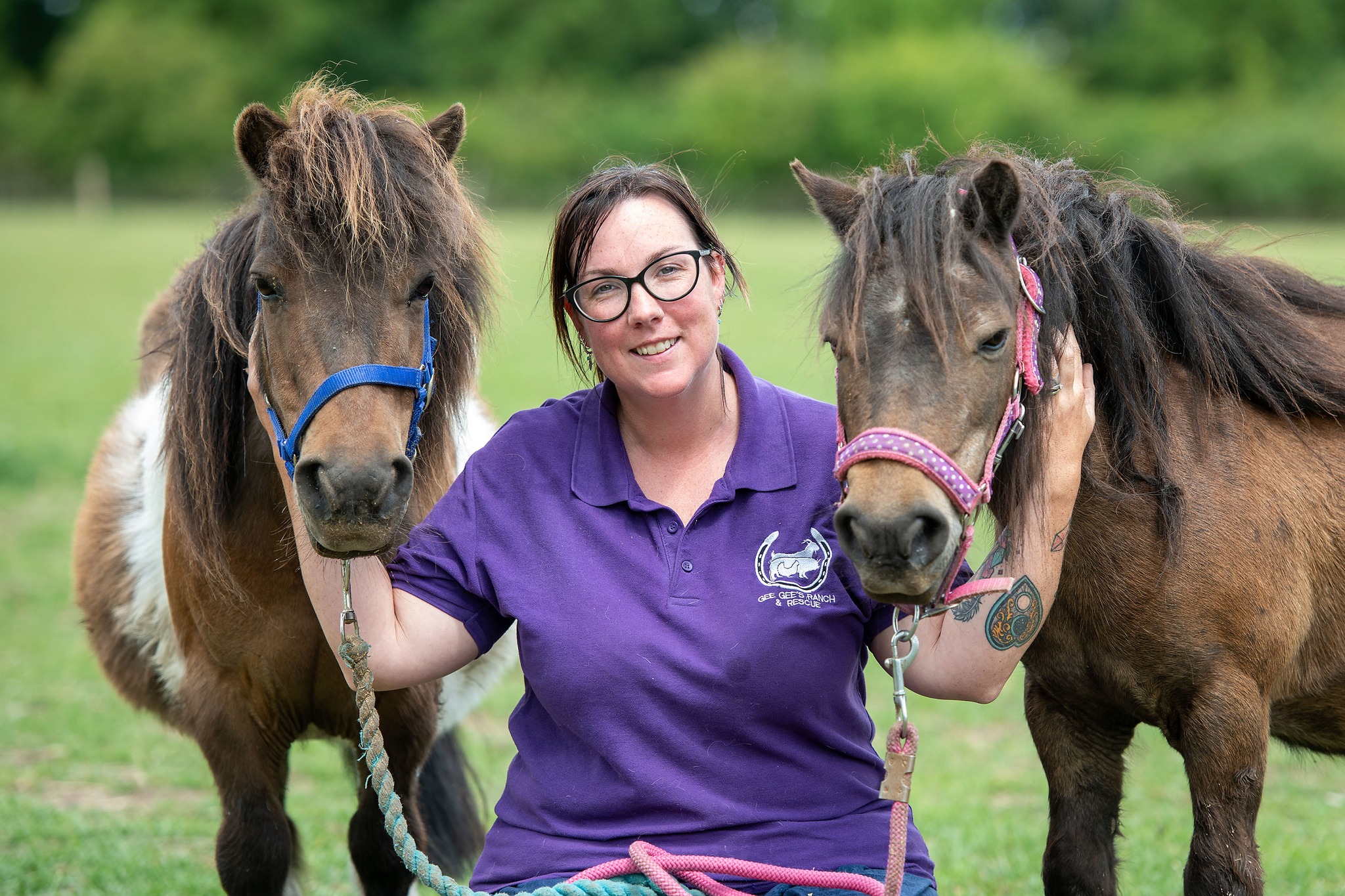 Gee Gees Ranch Healing Acres CIC | Bury St. Edmunds