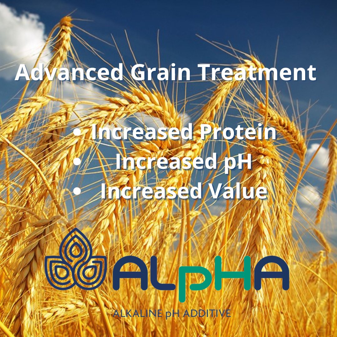 Norvite - Maximise Your Grain. Minimise the Risk. Introducing ALpHA ...