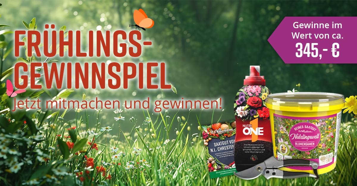 Gewinnen C A Com Gewinnspiel