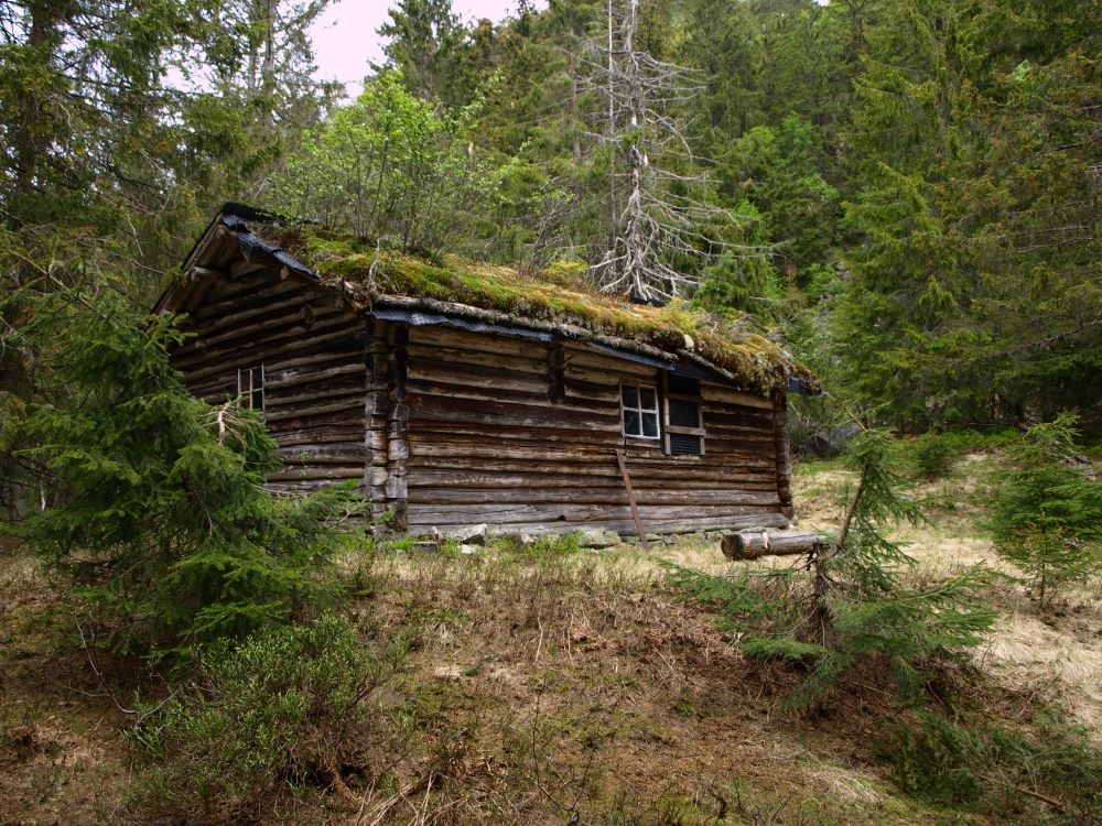 Gårdsferie Røysland | Bø i Telemark