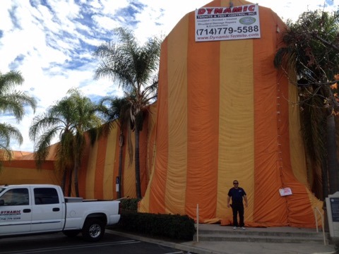 Dynamic Termite & Pest Control, Inc.