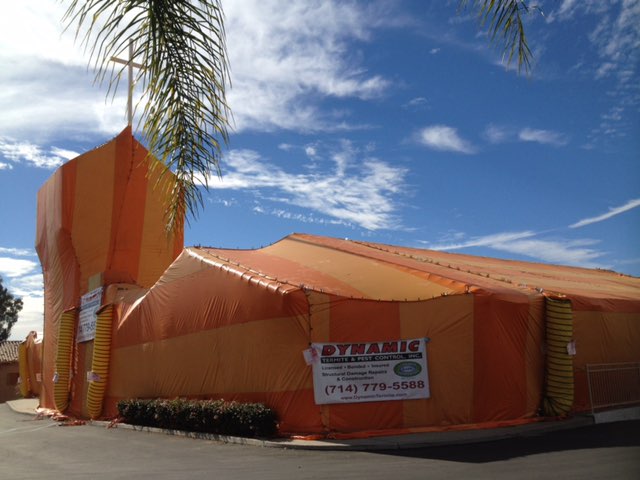 Dynamic Termite & Pest Control, Inc.