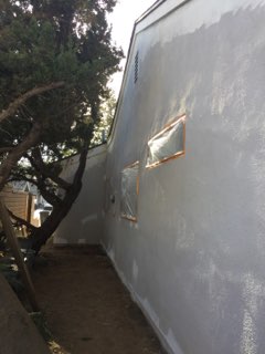Dynamic Termite & Pest Control, Inc.