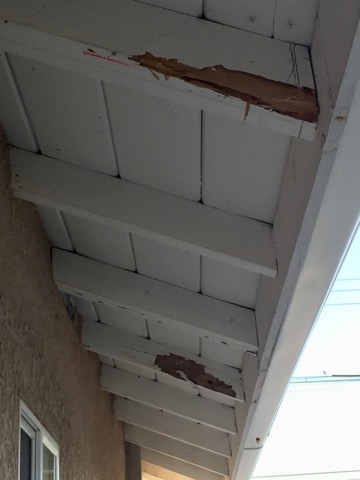 Dynamic Termite & Pest Control, Inc.