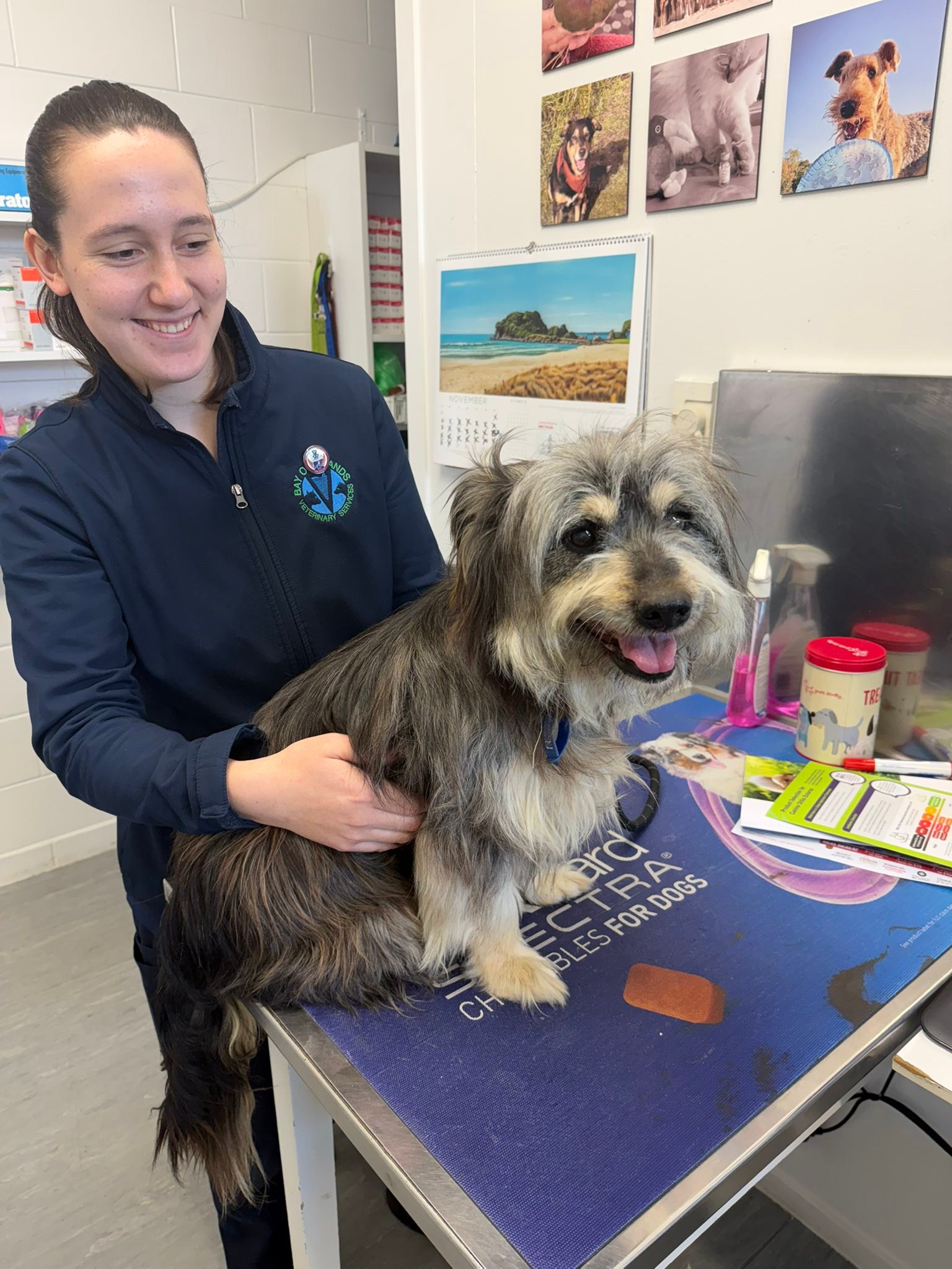 Meet... - Bay of Islands Animal Rescue - Never Ending Story | Facebook