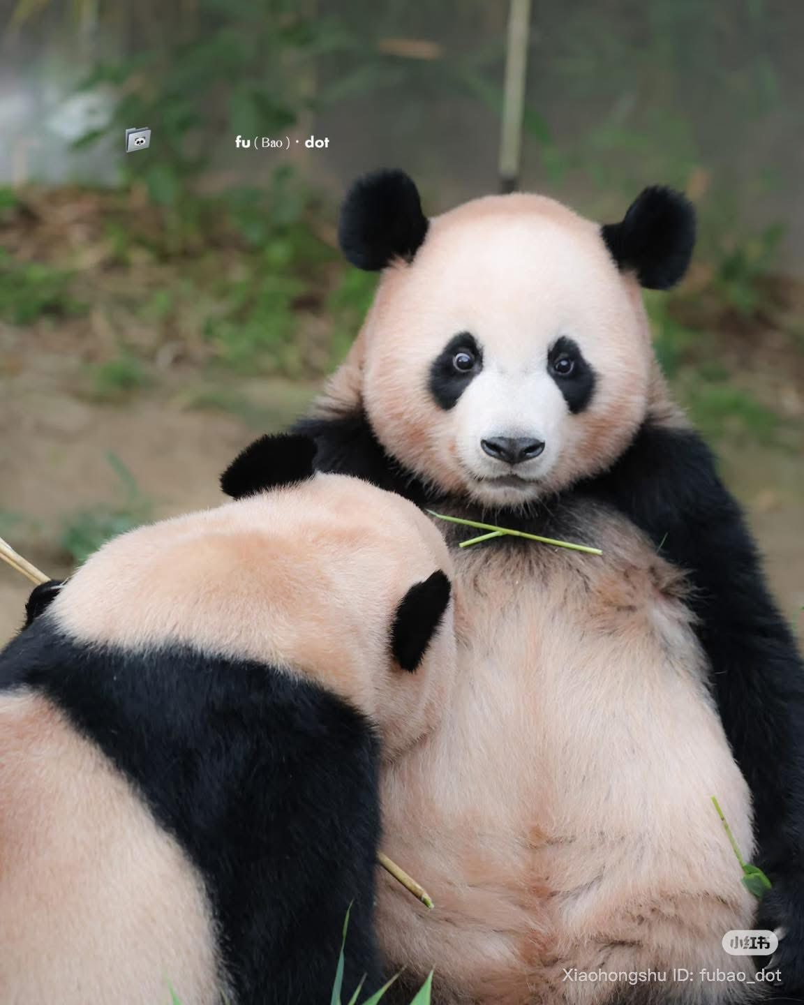 Rui Hui đáng yêu added a new photo. - Rui Hui đáng yêu
