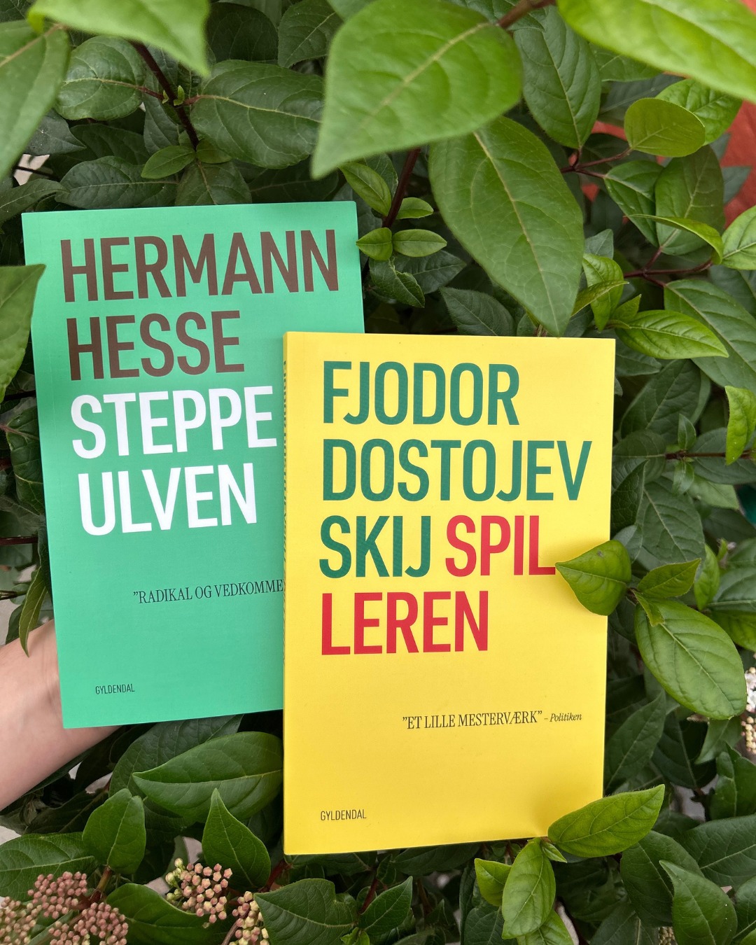 Gyldendal - STEPPEULVEN og SPILLEREN genudgives i den nyeste generation ...