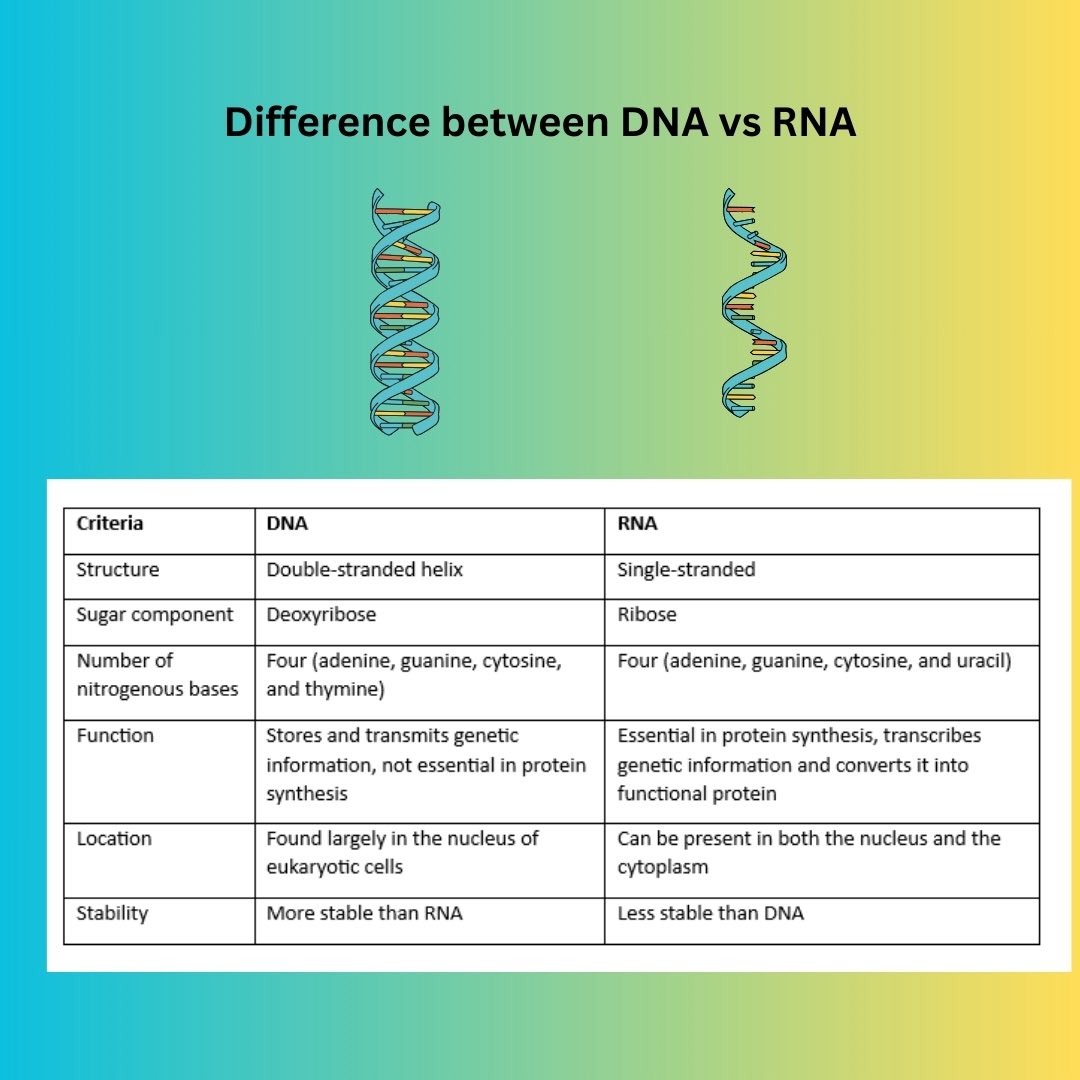Science - Here are clean, organised comparison-tables for GCSE / CBSE ...