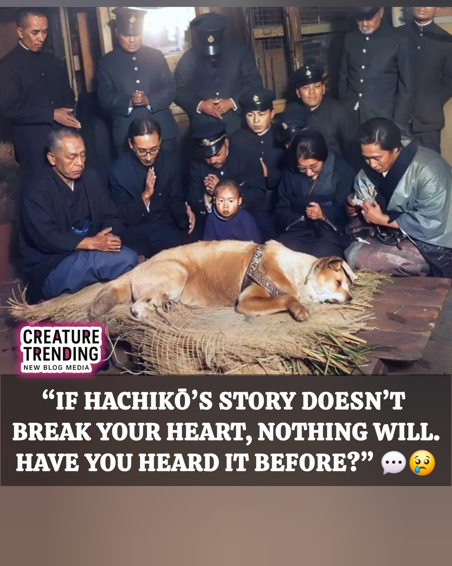 額装「忠犬」Dogs are very loyal A story that still breaks hearts