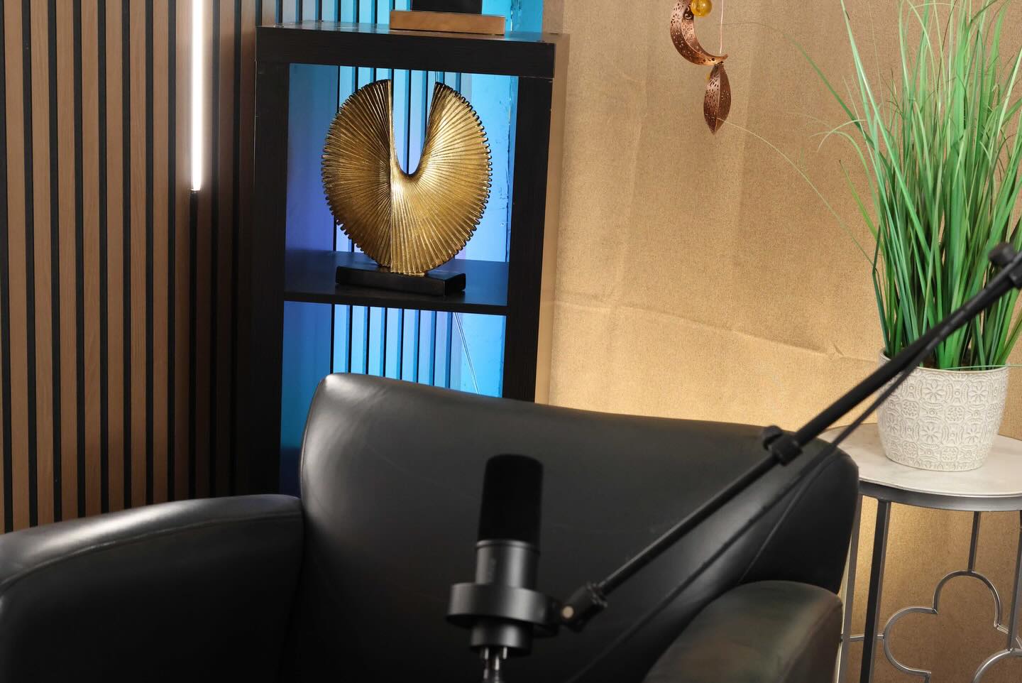 dk3 studios LLC - Using professional lighting is crucial when shooting ...
